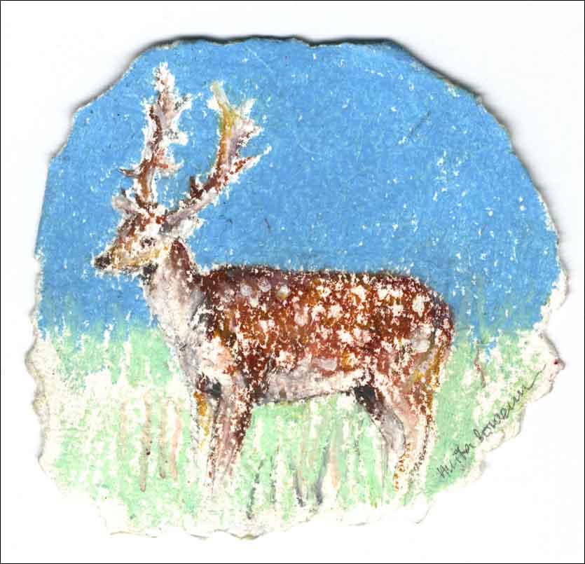 Deer, unframed original drawing