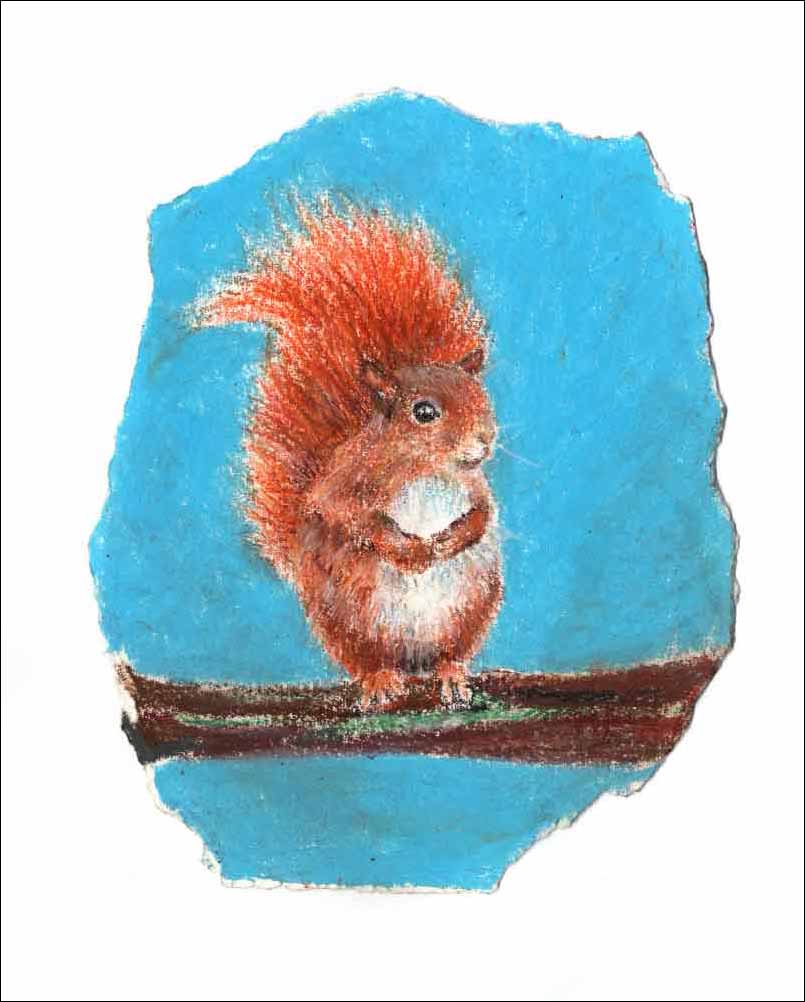 Red Squirrel, unframed original drawing