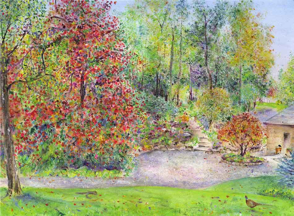 Crimson glory vine (Vitis coignetiae) at RHS Garden Harlow Carr, unframed print