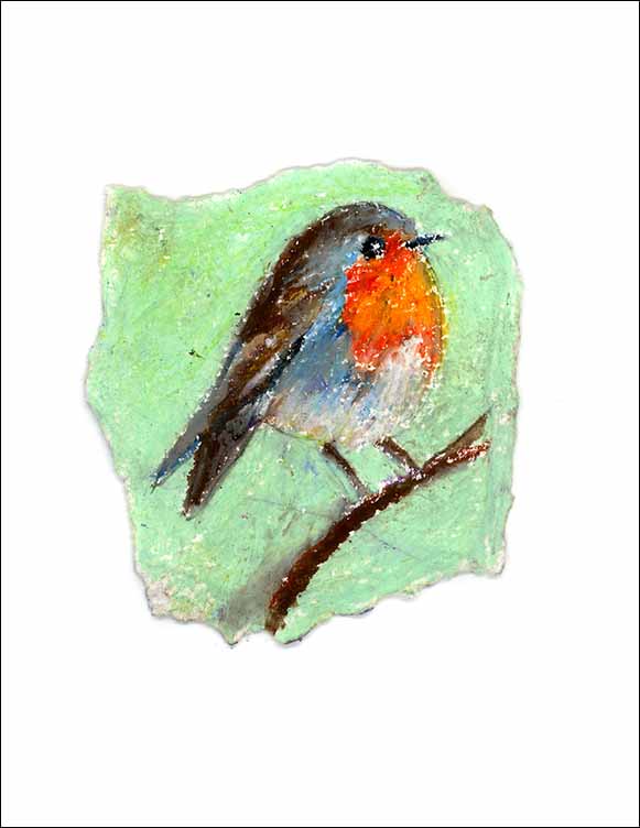 Robin, unframed Giclée limited edition print