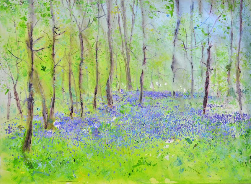Sunlight and Bluebells, unframed Giclée limited edition print