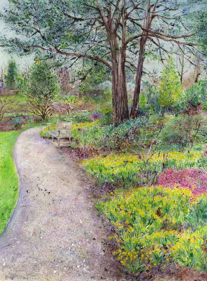 Tête-à-Têtes, Sandstone at RHS Garden Harlow Carr, February, original painting